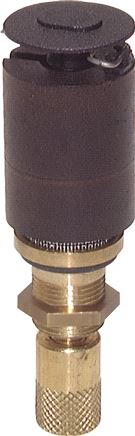 Exemplary representation: Replacement steam trap for filters & filter regulators - Futura, Multifix & Standard, automatic