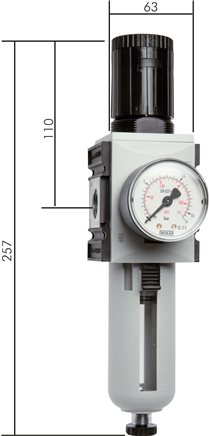 Exemplary representation: Filter regulator - Futura series 2