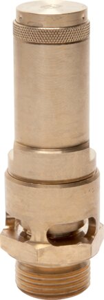 Exemplary representation: High performance safety valve (brass)