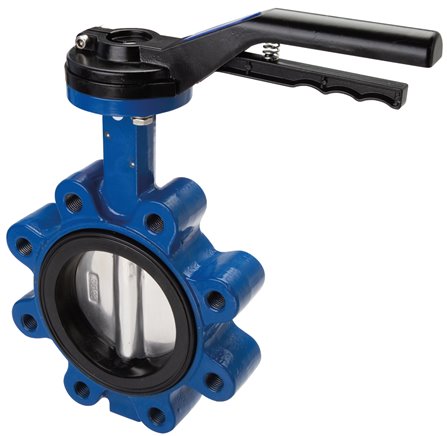 Exemplary representation: Flange mounted valve