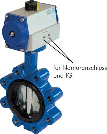 Exemplary representation: Anflanschklappe mit elektrischem Drehantrieb