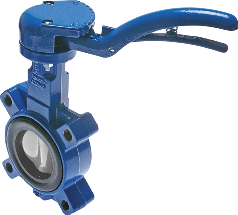 Exemplary representation: Flange mounted valve