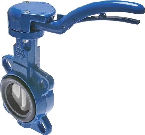 Exemplary representation: Intermediate flange valve