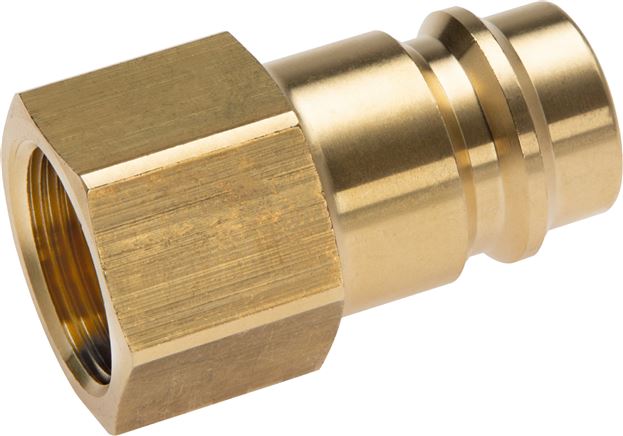 Exemplary representation: Coupling plug with female thread, brass