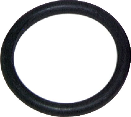 Exemplary representation: O-ring